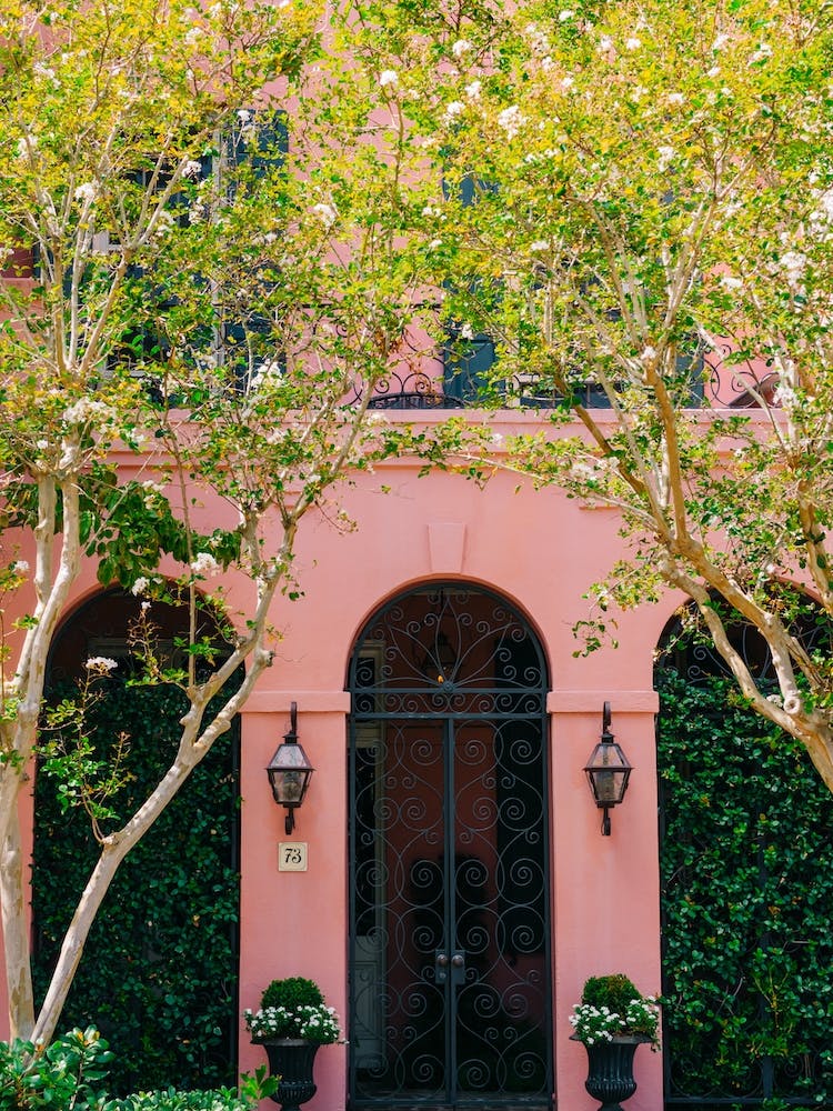 Charleston Pink XVIII