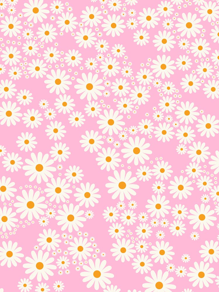 Gänseblümchengarten | 09 – Babyrosa