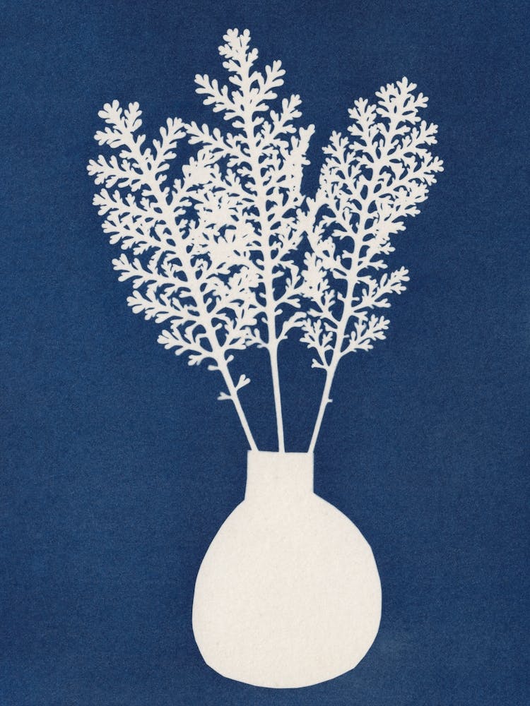 Cyanotype Still Life Studies 4