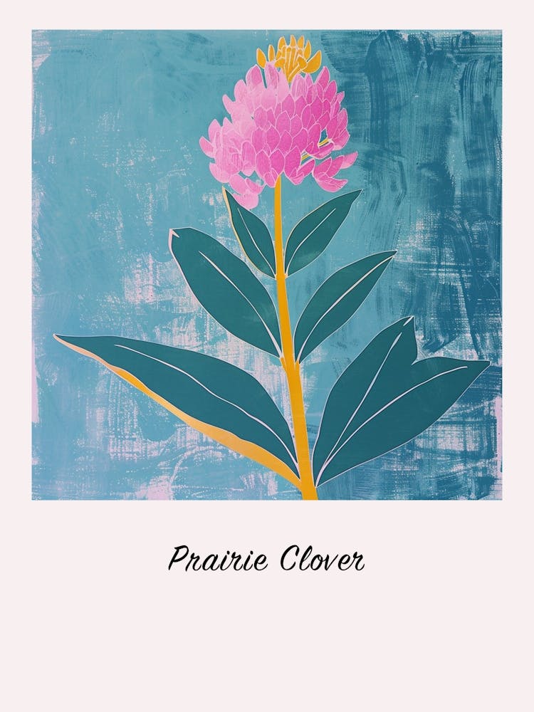 Prairie Clover Square Flower Illustration Poster