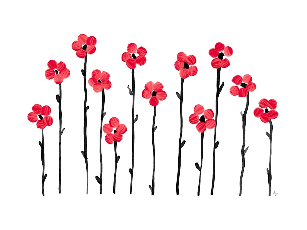 Poppies Horizontal