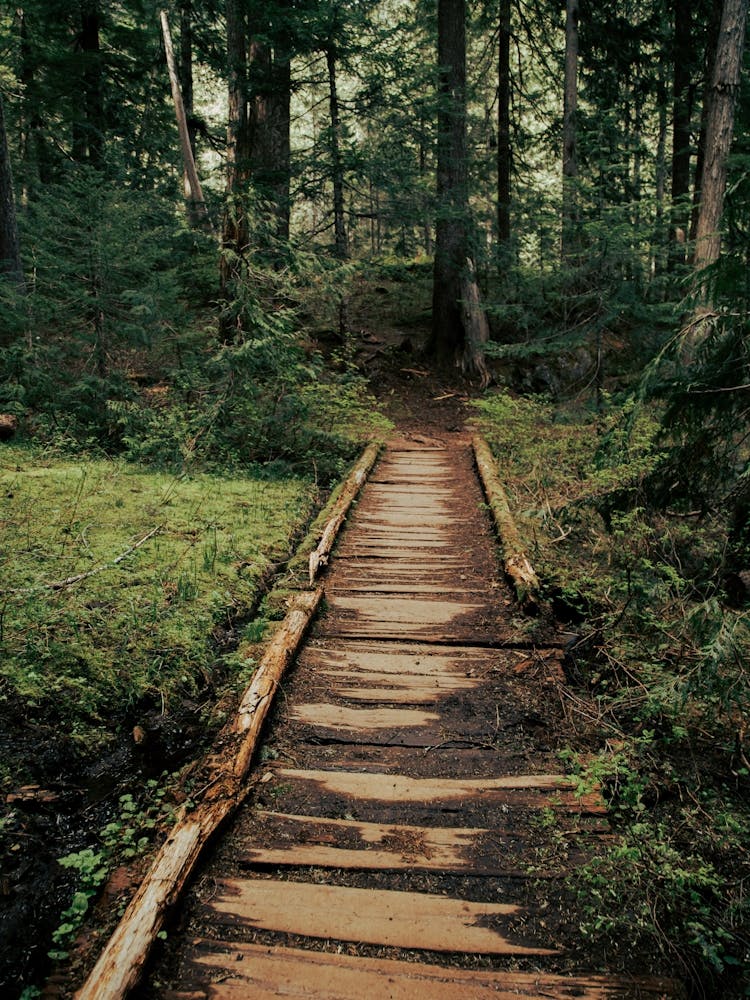 Follow Me II