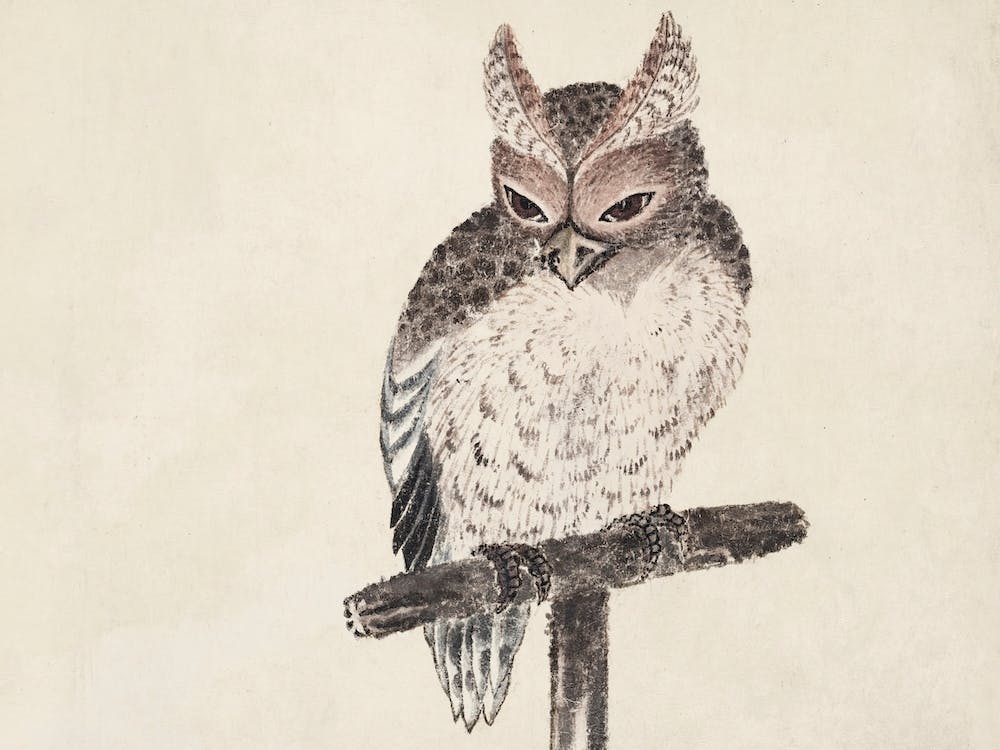 Owl, From Album Of Sketches (1814), Katsushika Hokusai 1