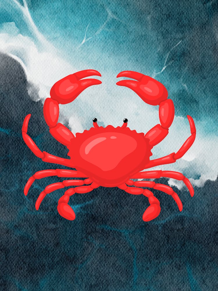 Krabbe auf dem Meer