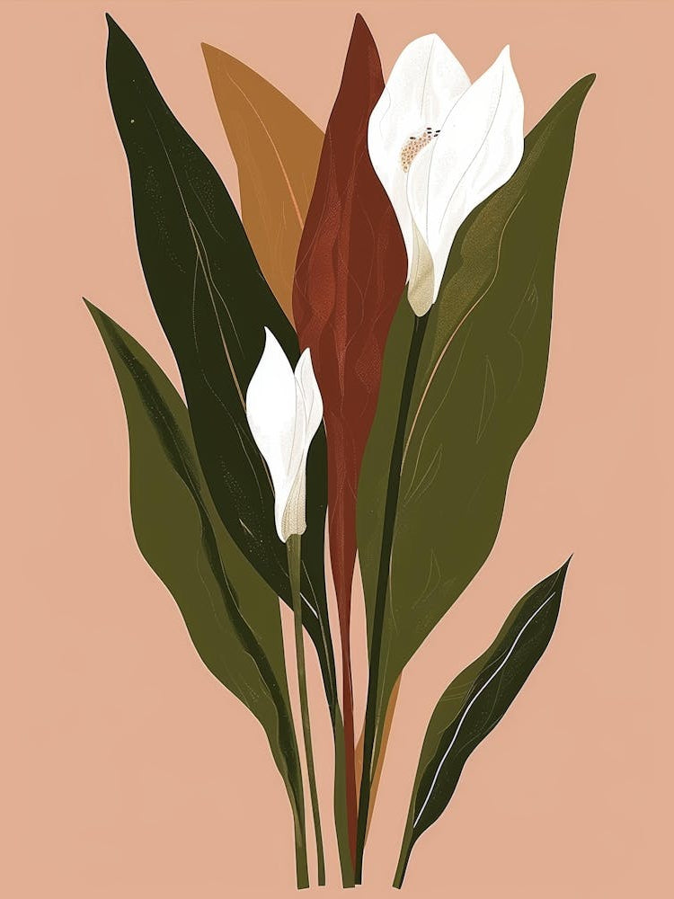 Calla Lilies 7