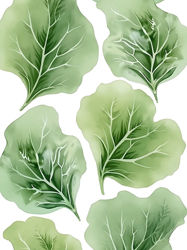 Modern Sage Botanical Elements