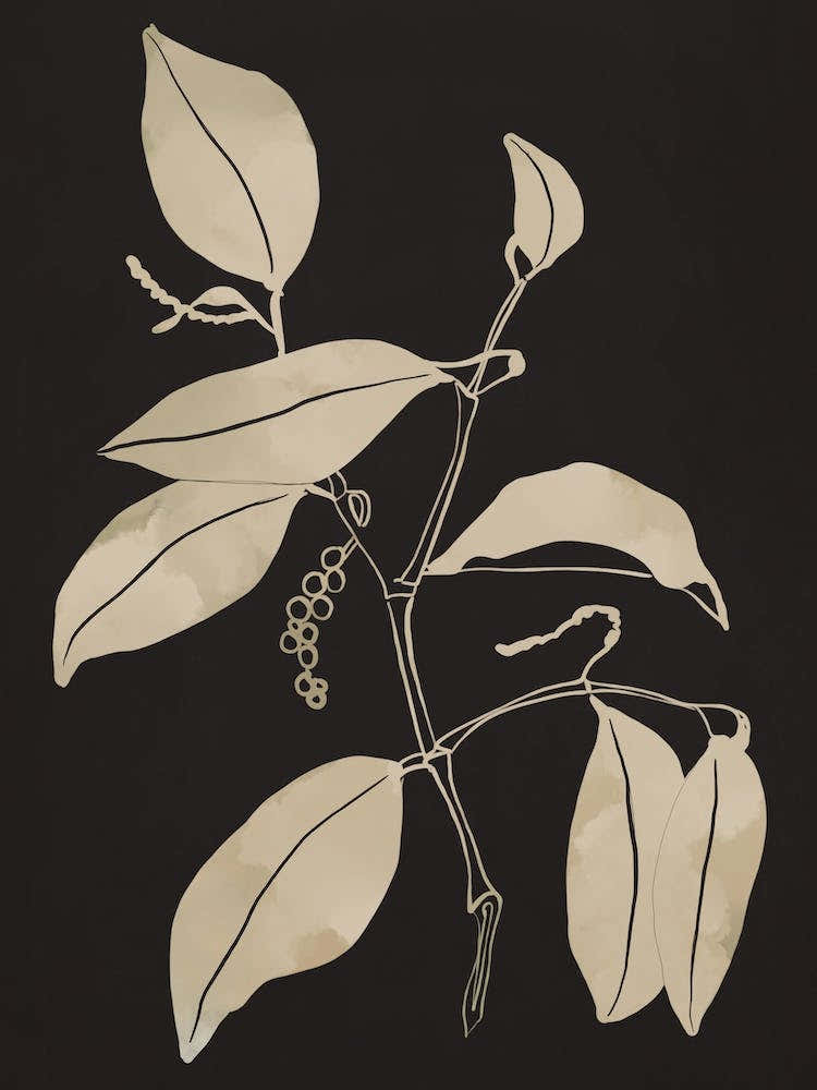 Minimal Abstract Art Plant 50