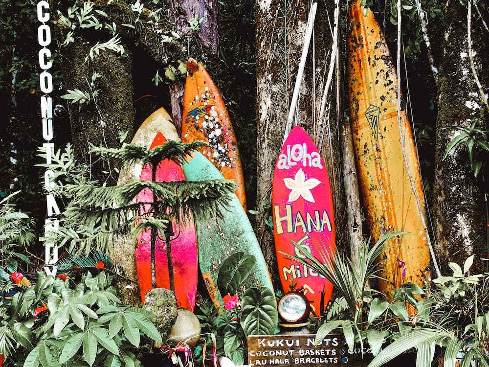 Old Surfboards