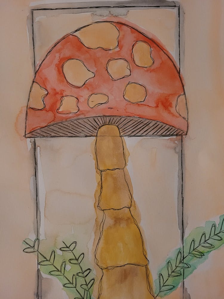 Champignon dans une Fenêtre
