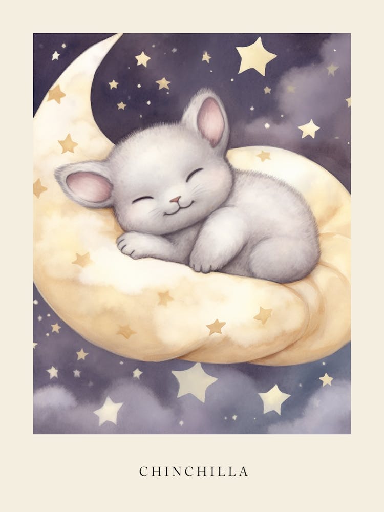 Sleeping Baby Chinchilla Nursery Poster
