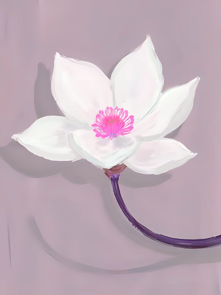 Lotus Flower 7
