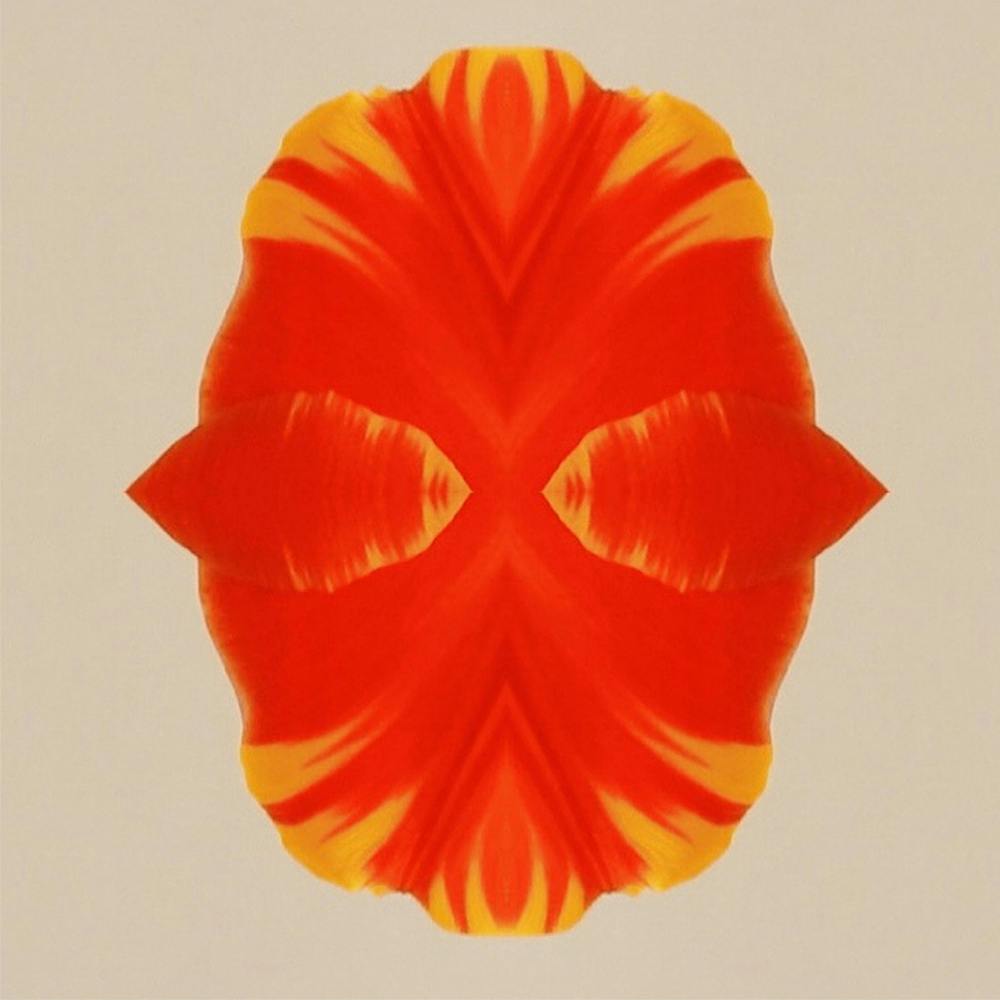 Tulip Form 1