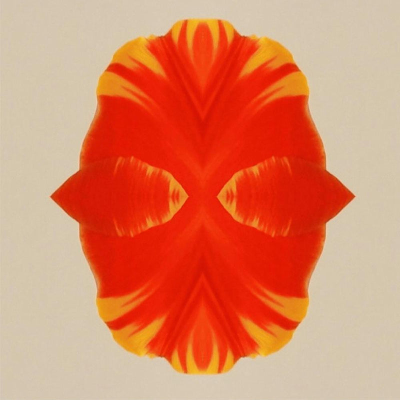 Tulip Form 1