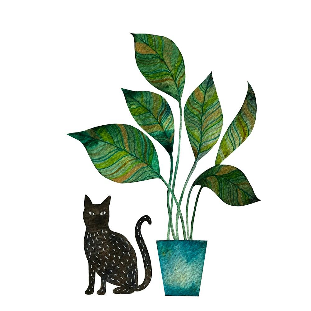 Black Cat And House Plant