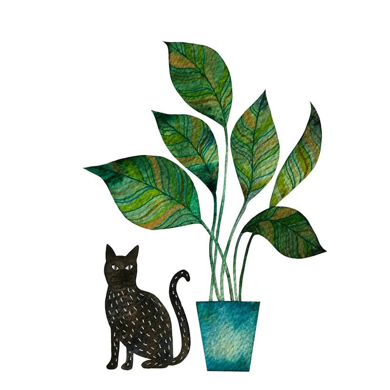 Black Cat And House Plant