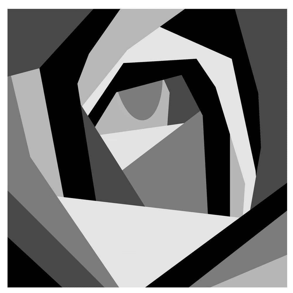 Black and White Abstract rose flowers