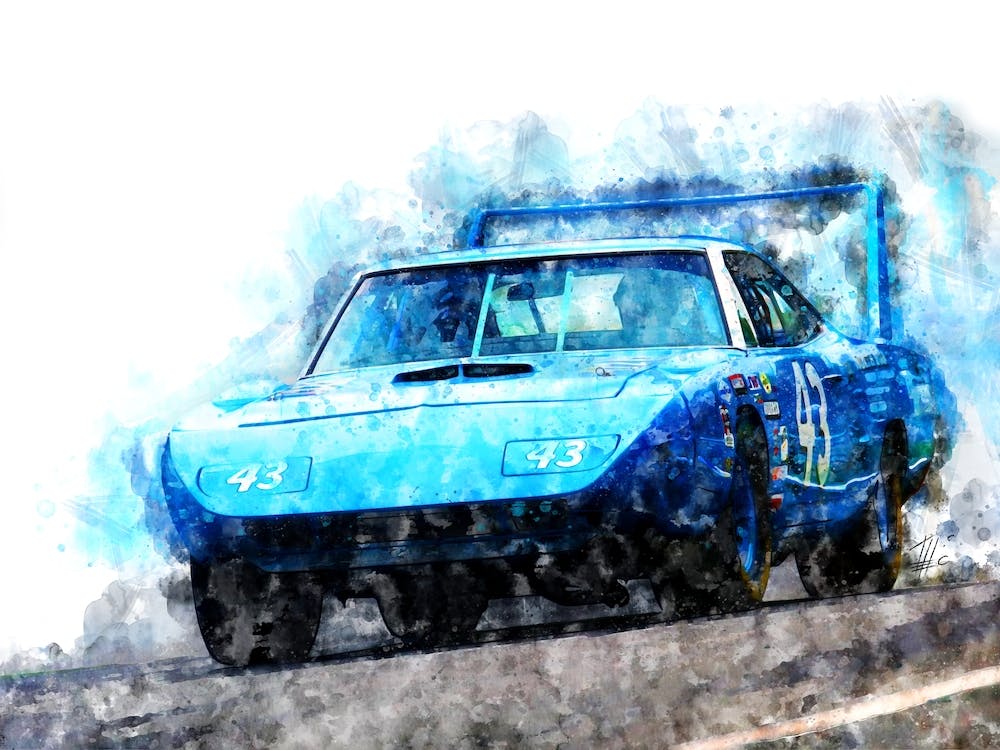 Richard Petty Superbird