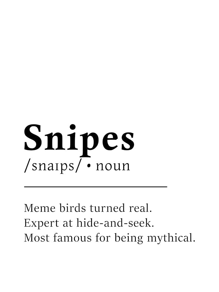 Snipes Definition Poster - Dictionary