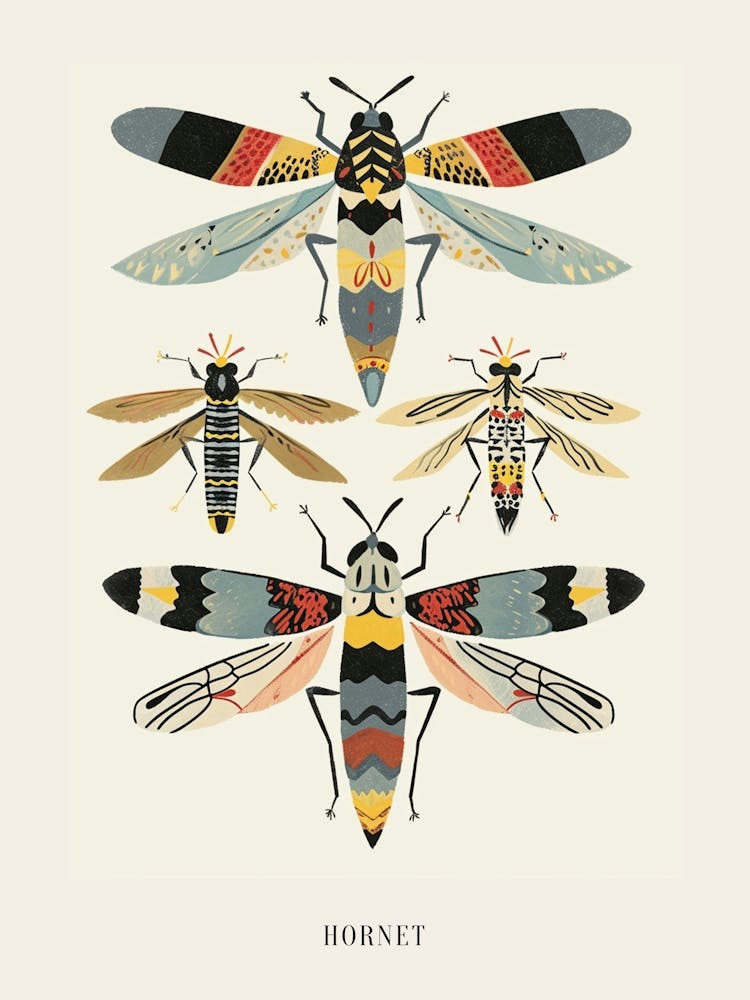Colourful Insect Illustration Hornet 6 Poster