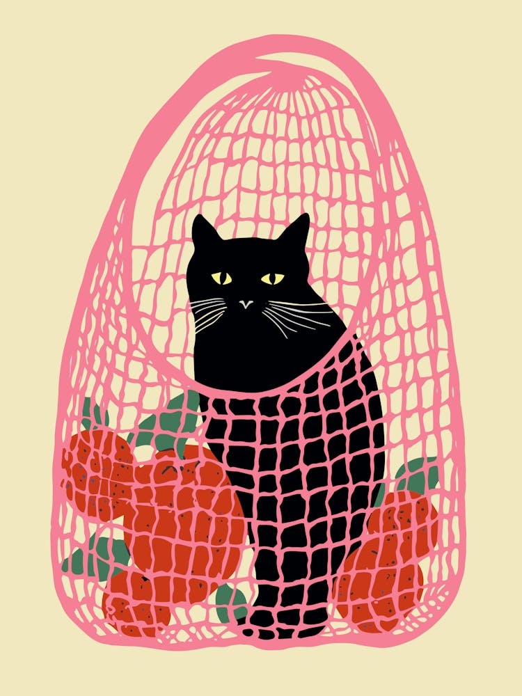 Black Cat In A Pink Bag With Oranges