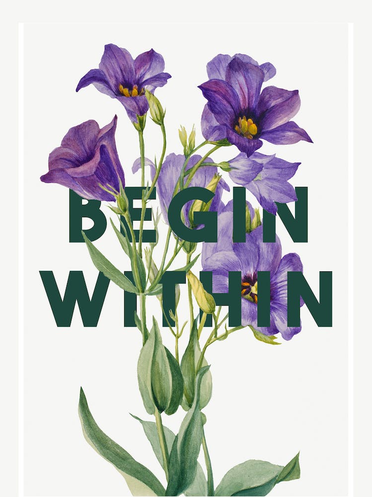Begin Within