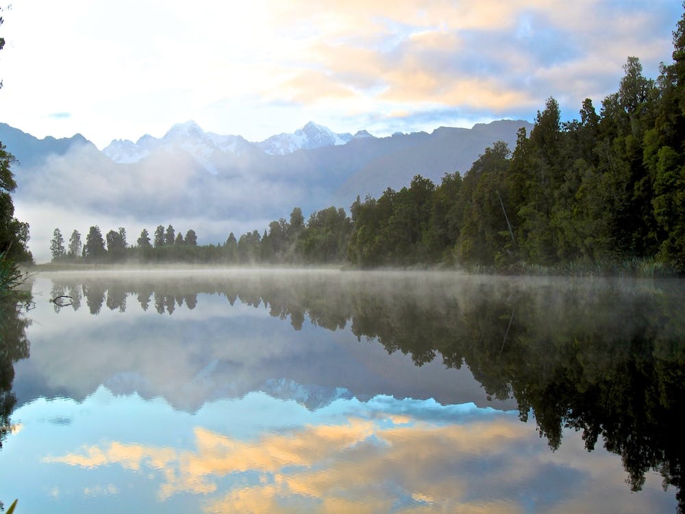 Lake Matheson Misty Foggy Woodland