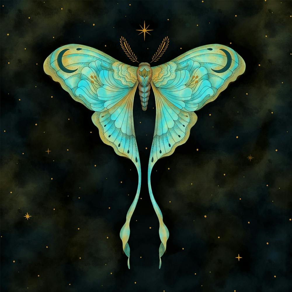 Luna Moth