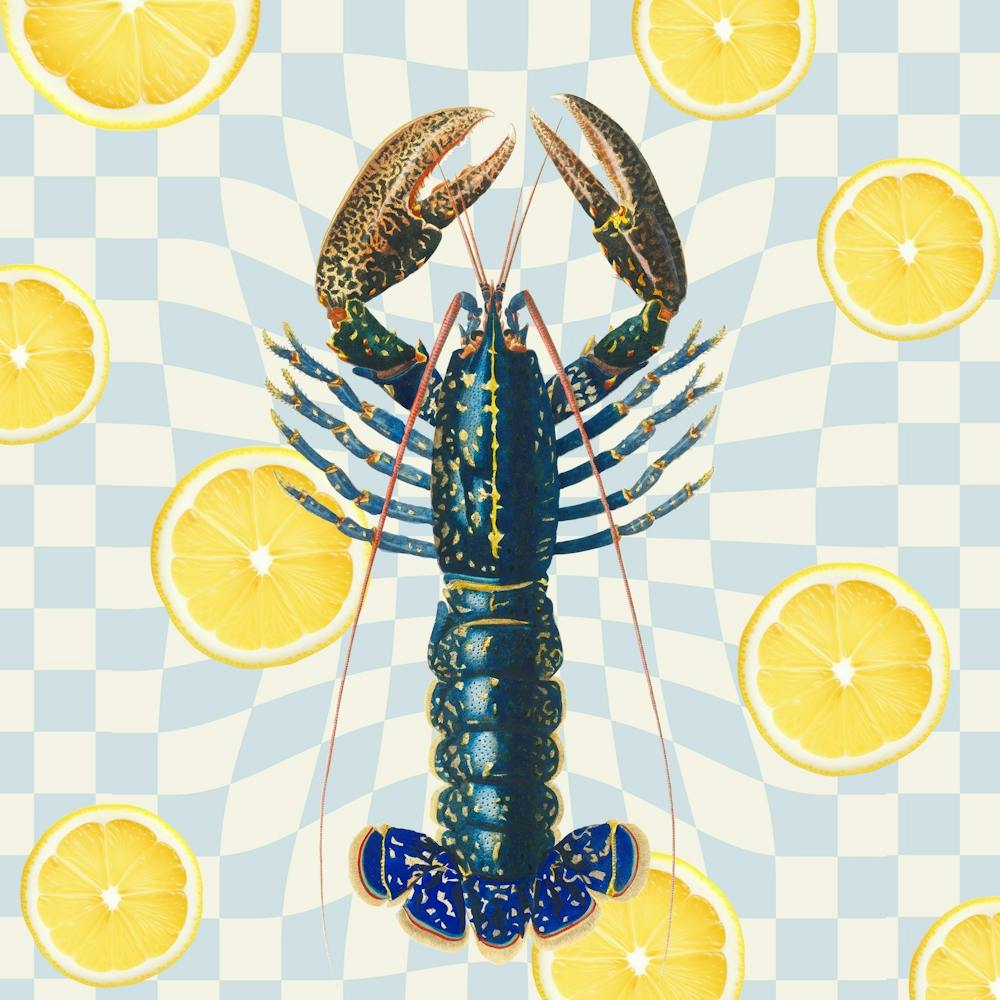 Lobster Lemon - SQUARE