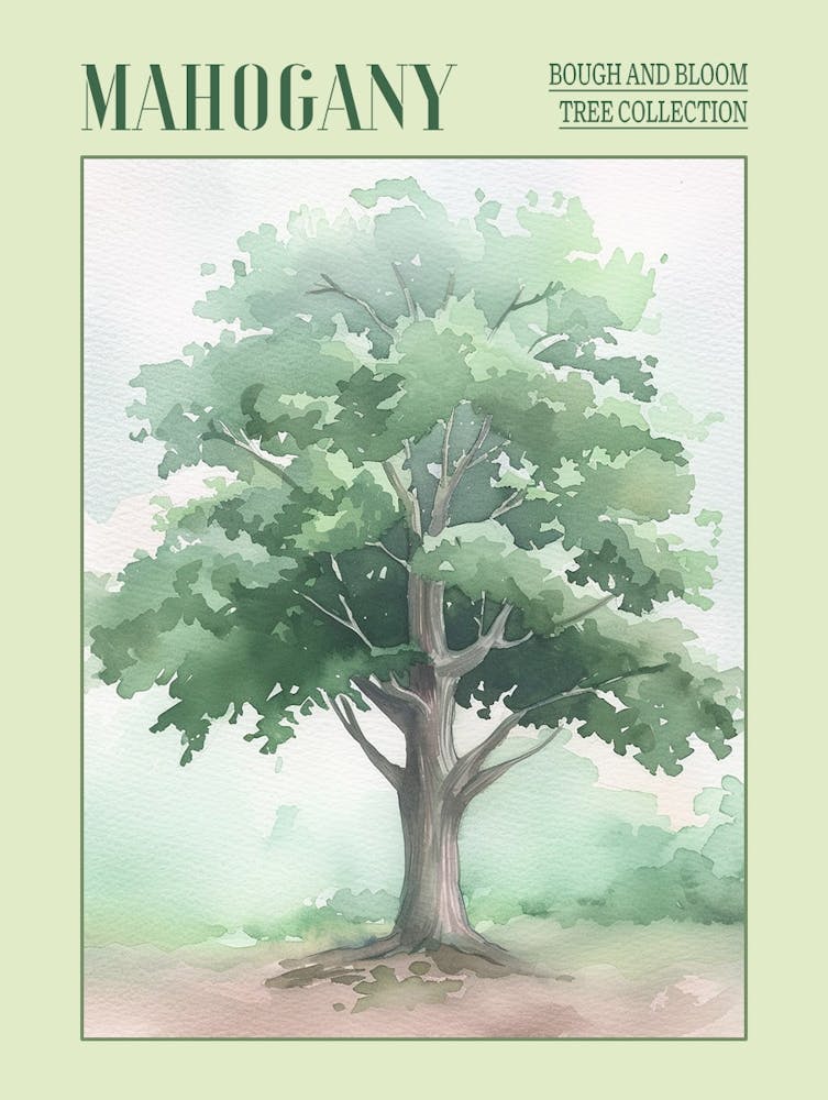 Mahogany Tree Atmospheric Watercolour Painting 6 Poster