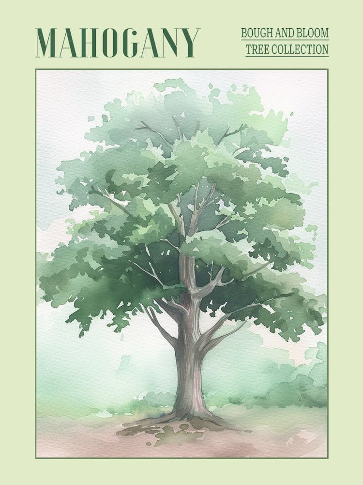 Mahogany Tree Atmospheric Watercolour Painting 6 Poster