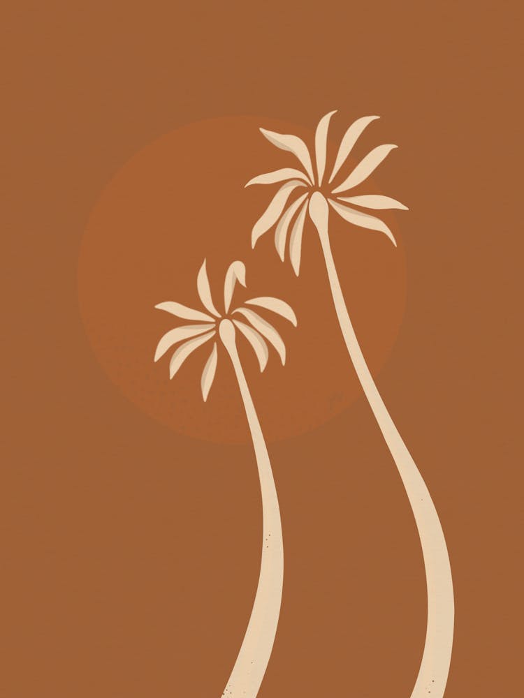 Palm Trees