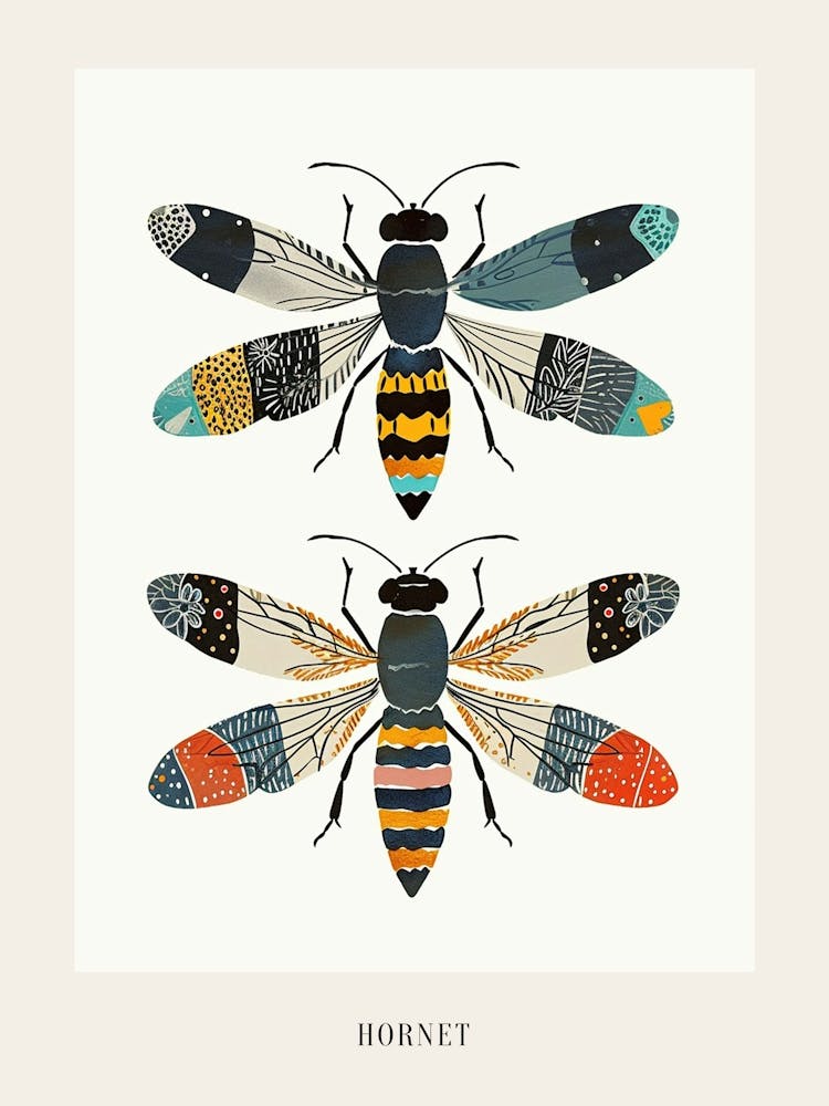 Colourful Insect Illustration Hornet 4 Poster