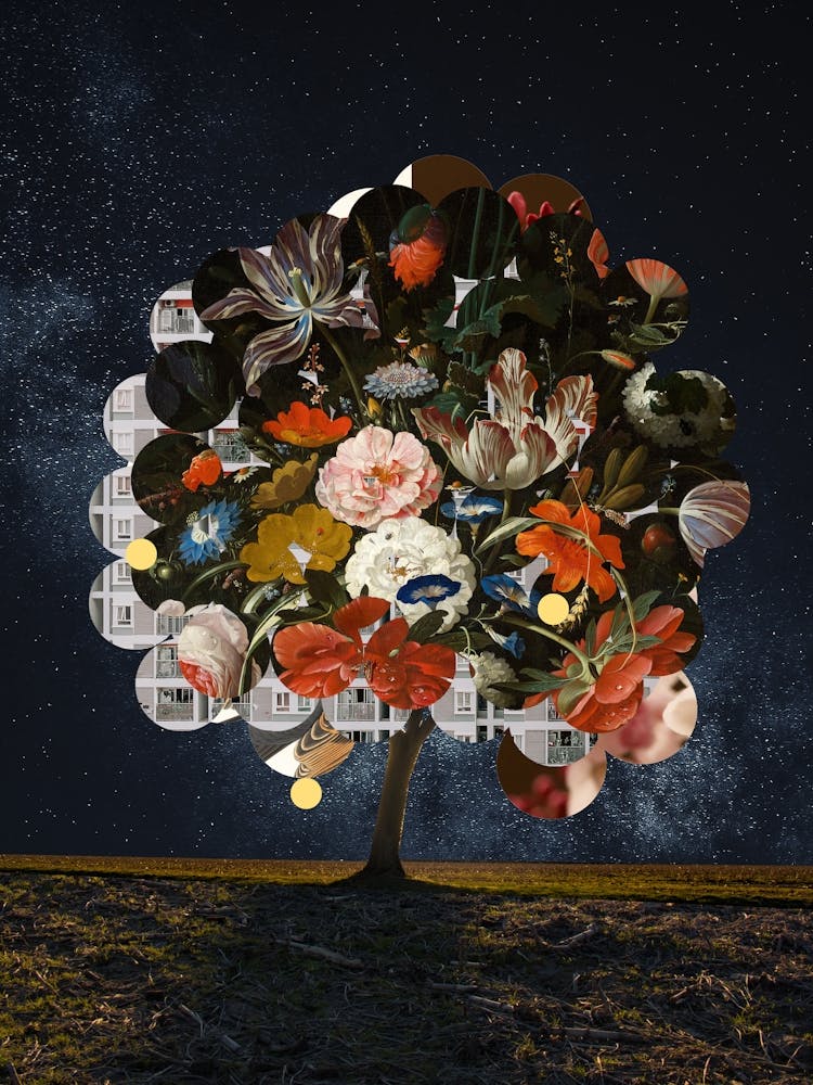 Die Nacht Der Blüte