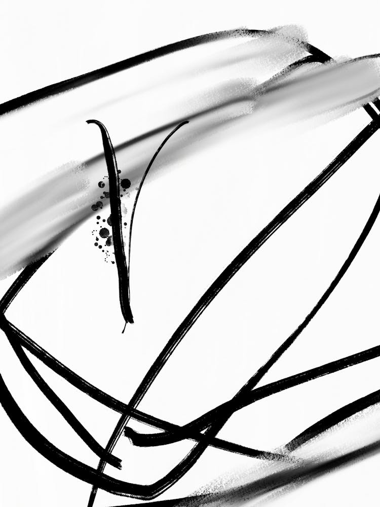 Black And White Drawing