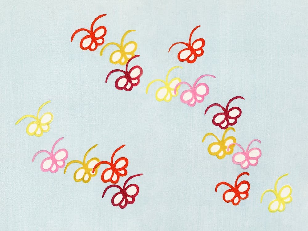 Japanese Butterfly, Cho Senshu (14)