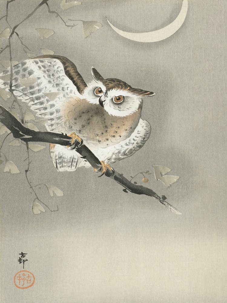 Long Eared Owl In Ginkgo, Ohara Koson Vintage Japanese