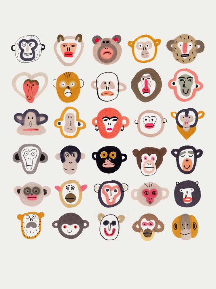 Monkeys