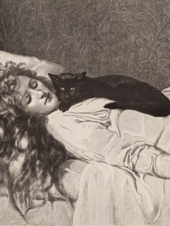 The Witch by John Collier 1893 ~ Witchy Pagan Gothic Feature Wall Art - A HD Remastered Victorian Drawing of a Witch With Black Cat Sleeping