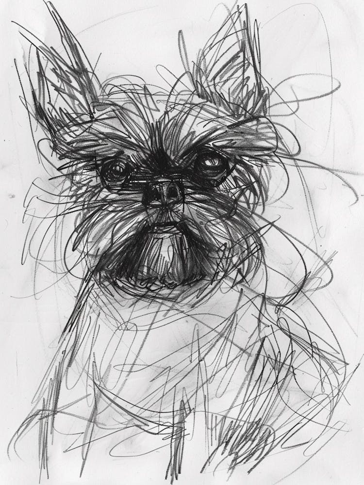 Affenpinscher Dog Charcoal Line