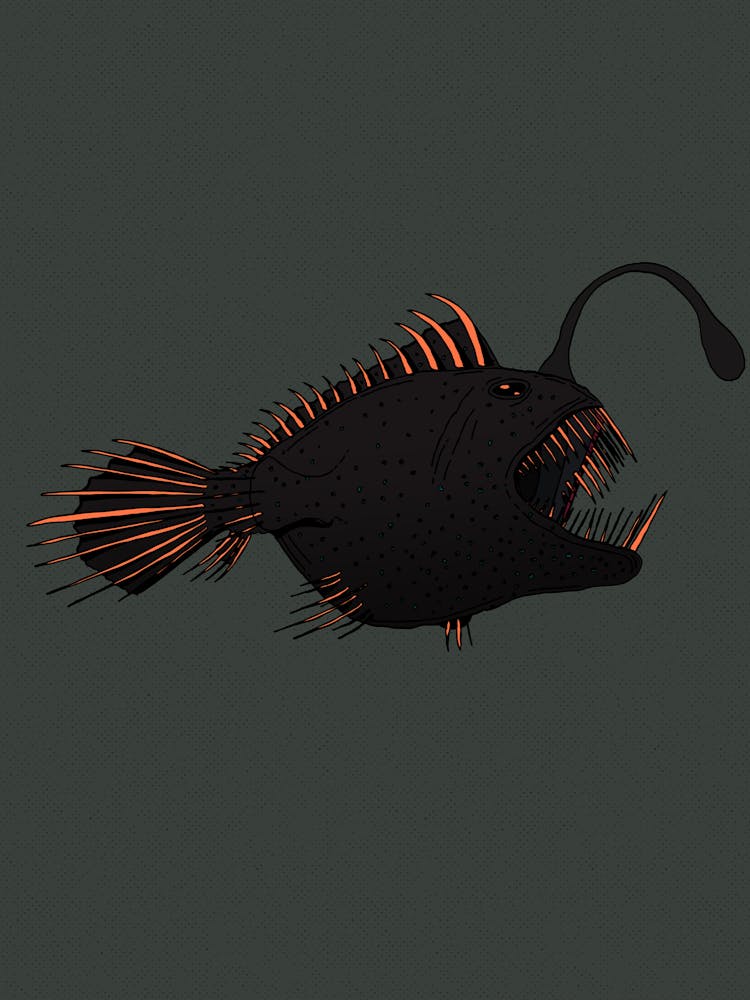 Anglerfish
