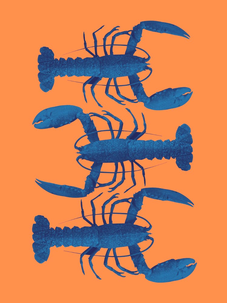 Blue Lobsters - Orange