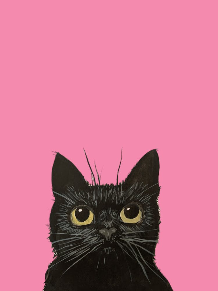 Black Cat Watercolour Illustration