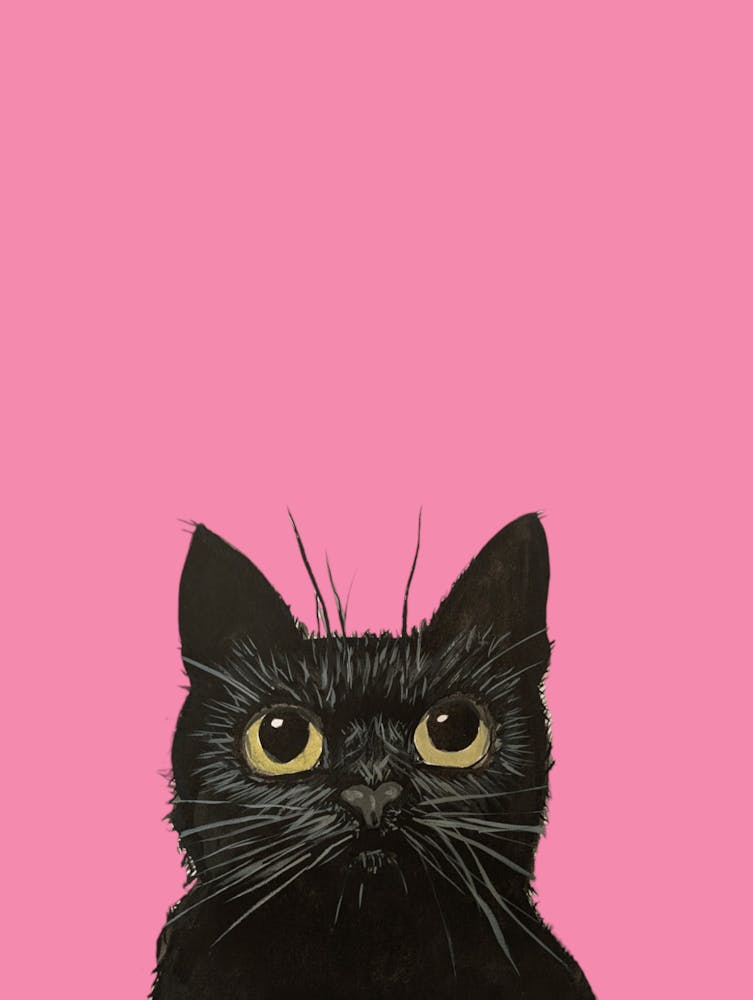 Black Cat Watercolour Illustration