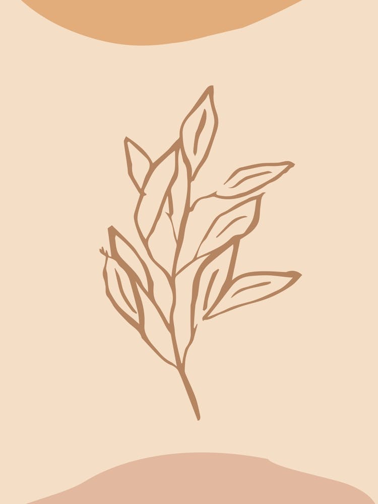 Leaf On A Beige Background