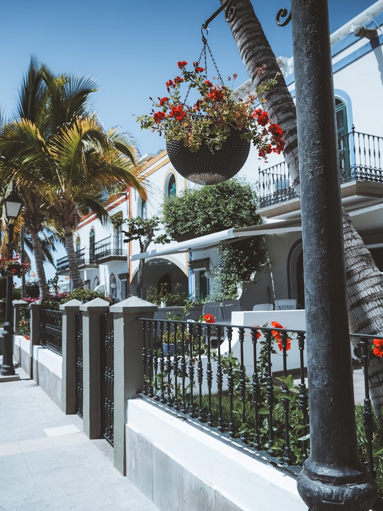 Canary Islands Street