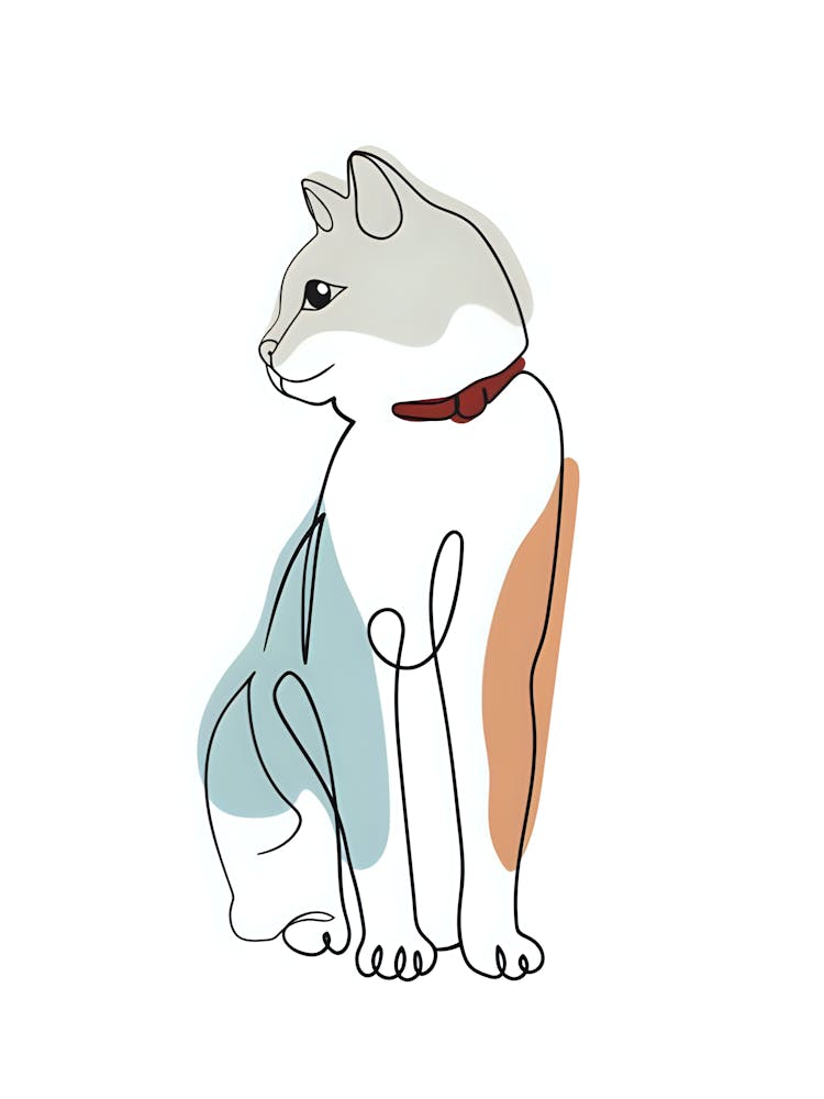 Cat With Collar