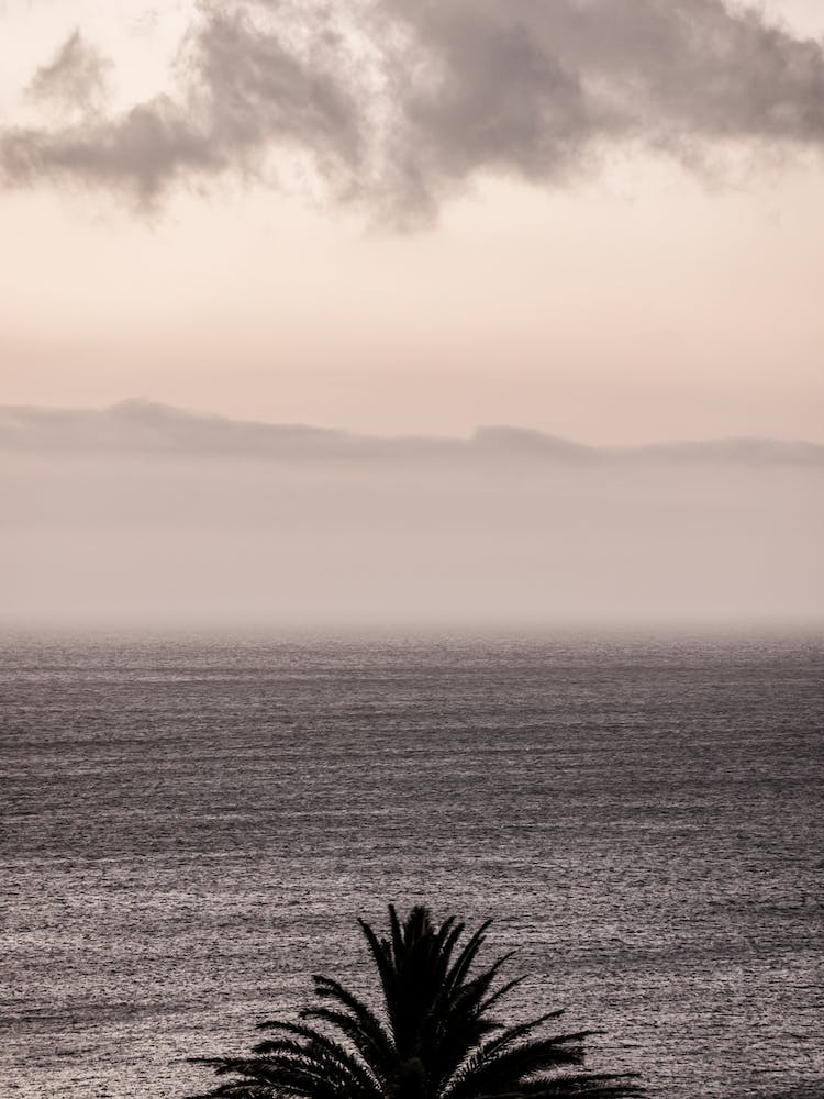 Amber Seas