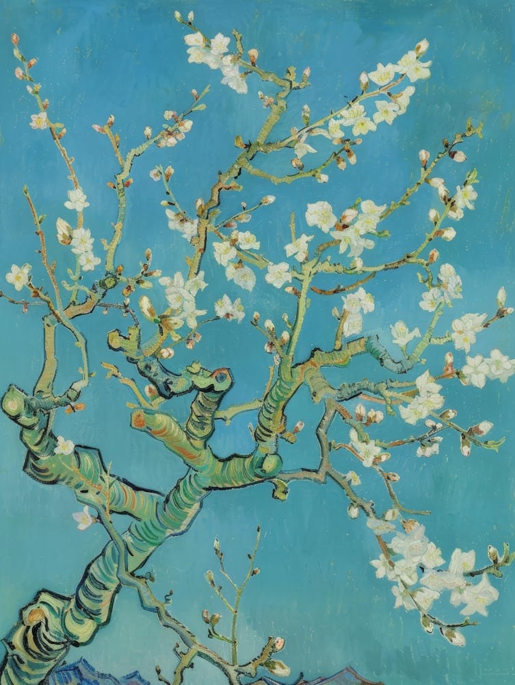Blossoming Almond Tree 7