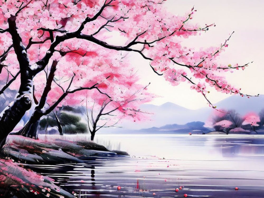 Cherry Blossoms 21