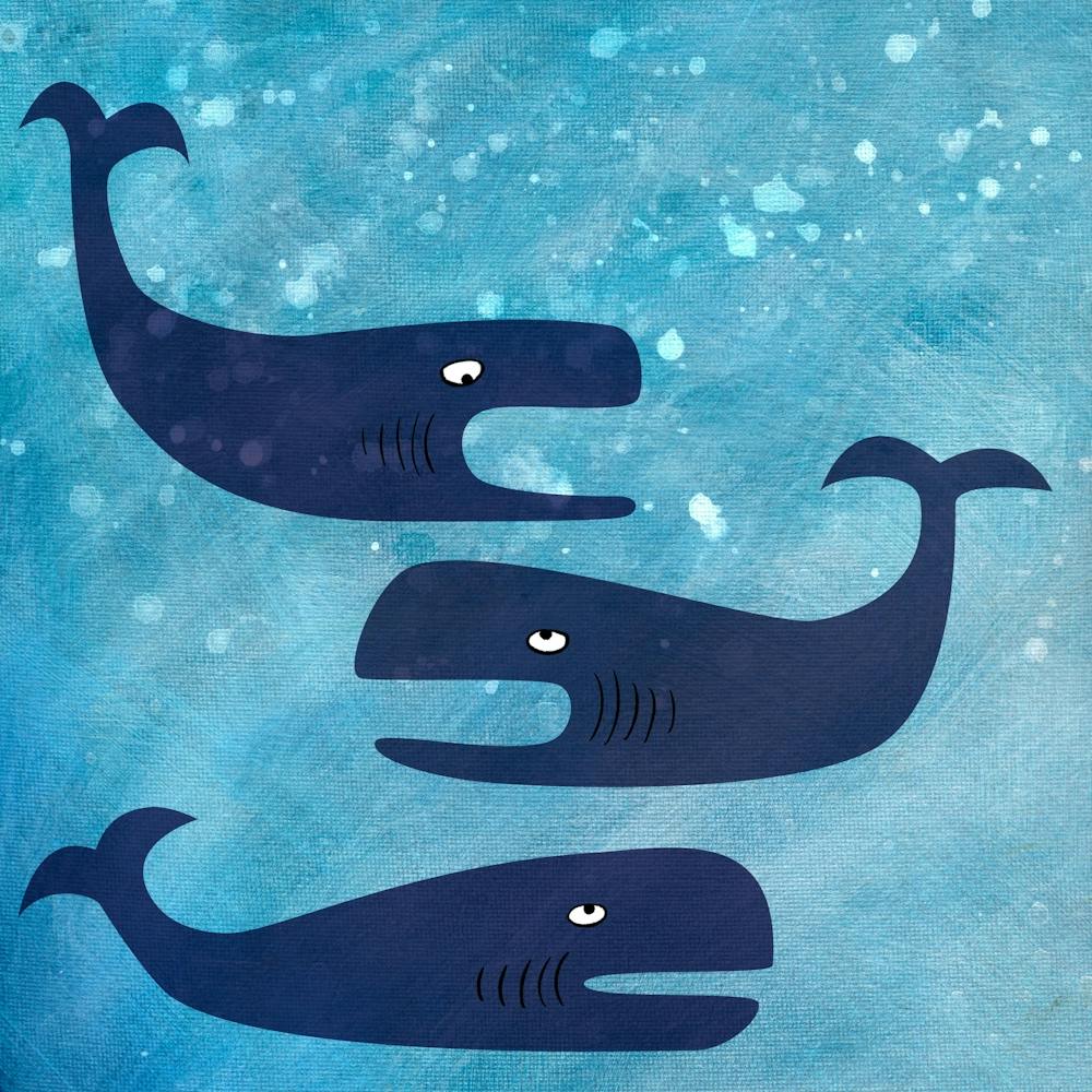 Whales In The Ocean
